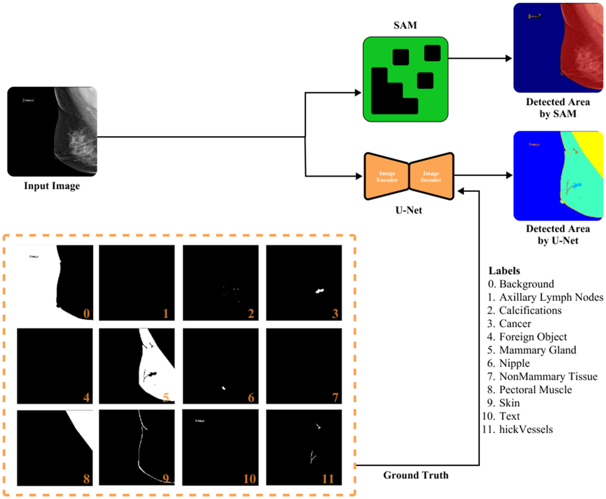 Image Segmentation Results