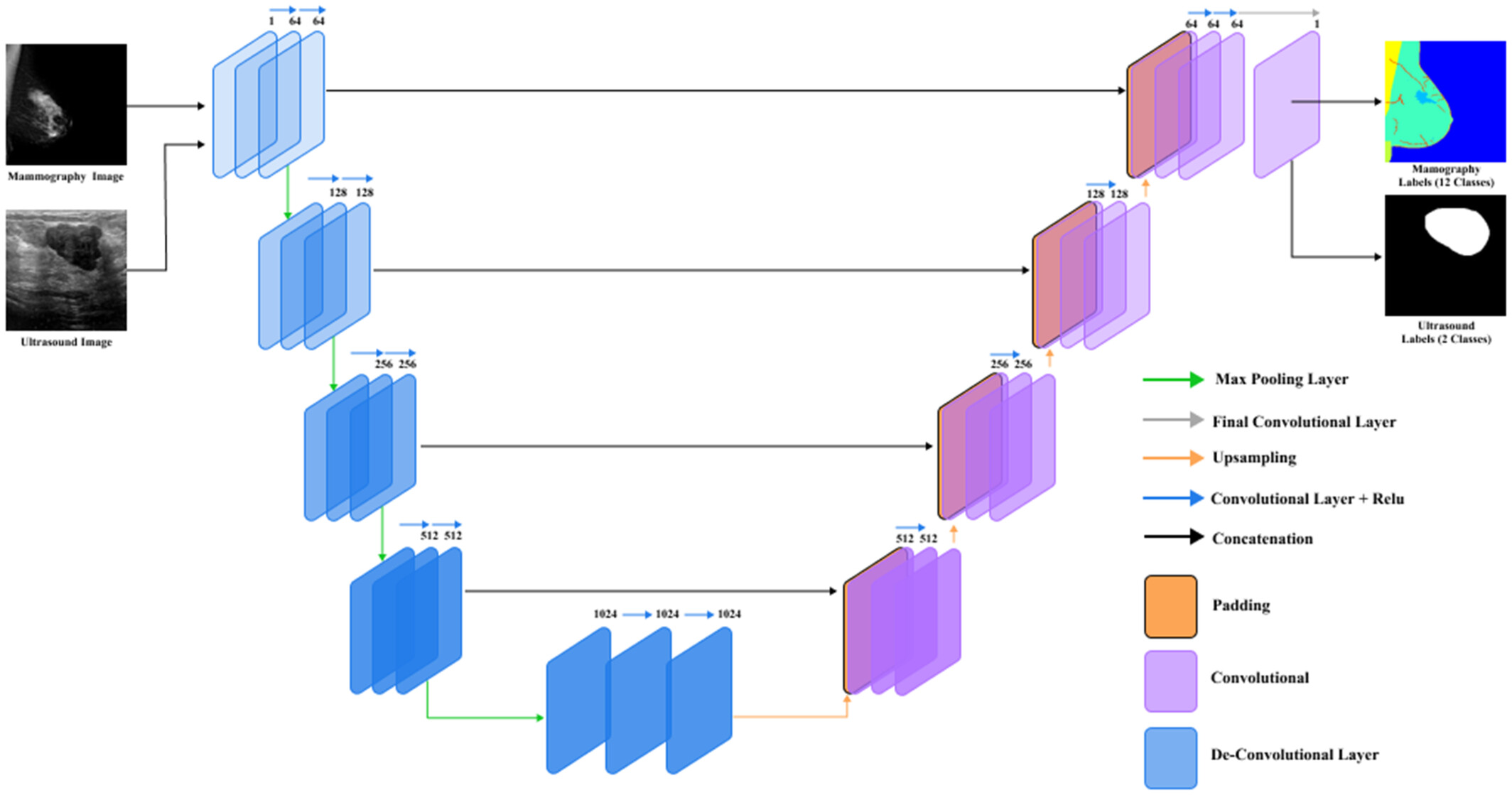 U-Net Architecture Comparison